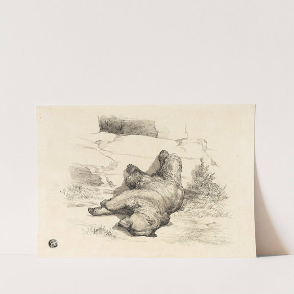 Russian Bear by Auguste Andre Lançon