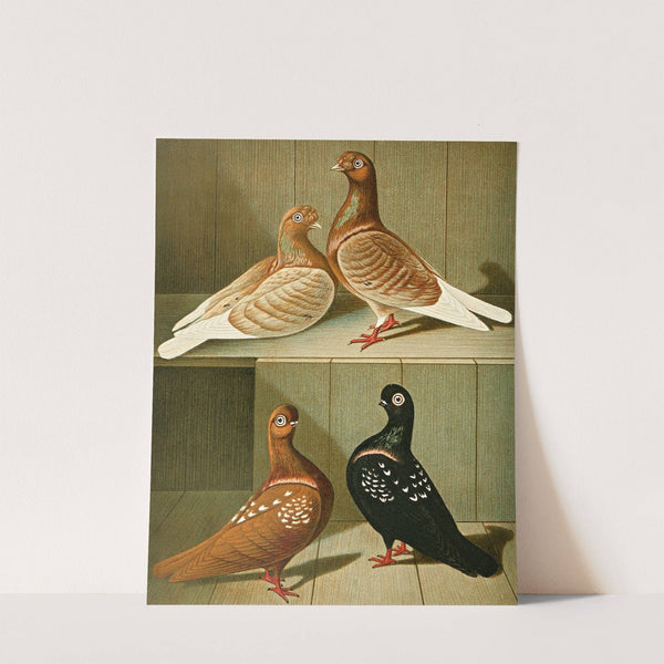 Russische Tümmler by Gustav Prütz