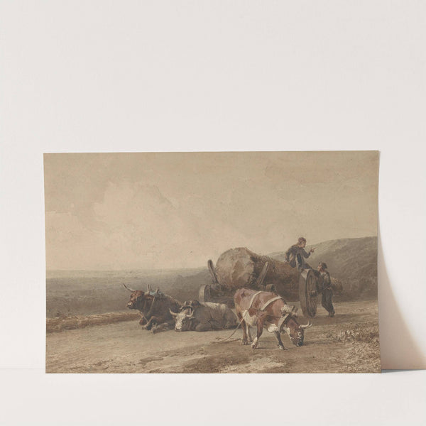Rustende ossen by Jan Bedijs Tom