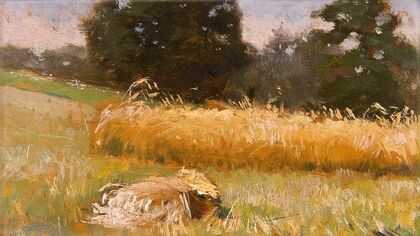 Rye field