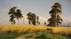 Rye Fields (1878)