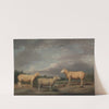 Ryelands Sheep, the King’s Ram, the King’s Ewe and Lord Somerville’s Wether (1801-1807) by James Ward
