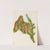 SAAM-1970.355.715 (1) by Mary Vaux Walcott