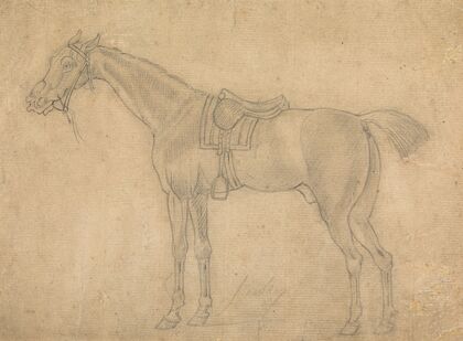 Saddled Horse Facing Left