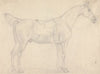 Saddled Horse, Facing Right