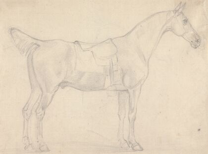 Saddled Horse, Facing Right