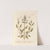 Sage of vertue by Elizabeth Blackwell