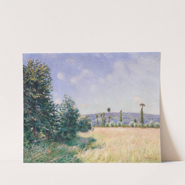 Sahurs Meadows in Morning Sun (1894) by Alfred Sisley