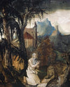 Saint Jerome in the Wilderness