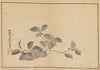 Sakai Hōitsu gajō, Pl.02 (1800-1912)