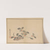 Sakai Hōitsu gajō, Pl.02 (1800-1912) by Sakai Hōitsu