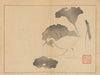 Sakai Hōitsu gajō, Pl.09 (1800-1912)