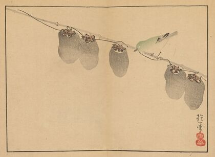 Sakai Hōitsu gajō, Pl.13 (1800-1912)