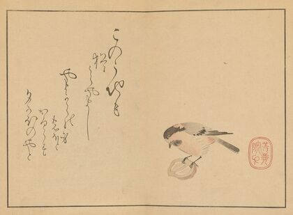 Sakai Hōitsu gajō, Pl.17 (1800-1912)