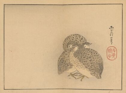 Sakai Hōitsu gajō, Pl.20