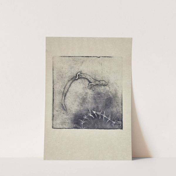 Salamandre (1895) by Pierre Roche