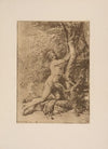 Salvatore Rosa – Milo of Croton