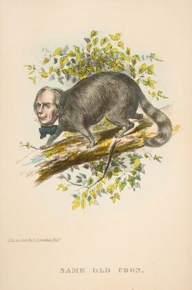 Same Old Coon (Henry Clay) (1851)
