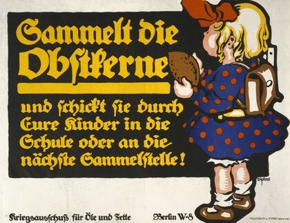 Sammelt die Obstkerne