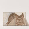 San Carlo alle Quattro Fontane, Rome, Italy, Entrance detail (1975) by Victor Alfred Lundy