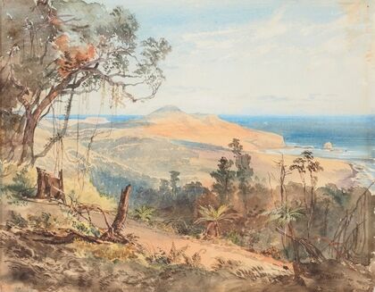 Sandfly Bay and Gull Rock near Dunedin