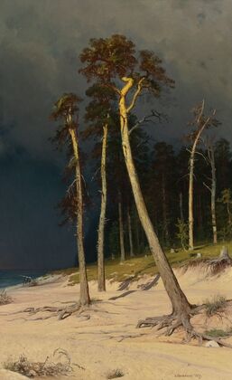 Sandy Coastline