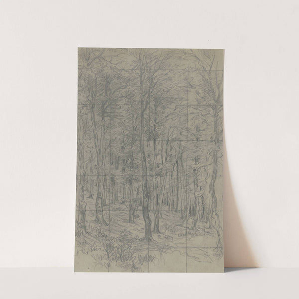 Saplings on a slope by Jakob Maurer
