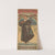 Sarah Bernhardt as Hamlet (1899) by Alphonse Mucha