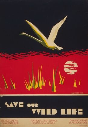 Save our wild life