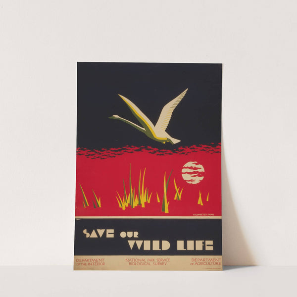 Save our wild life by Dorothy Waugh