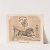 Scarf act (1872) by Gibson &amp; Co. Lith