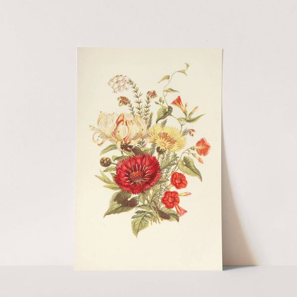 Scarlet Ipomcea, Honeysuckle, White Heath, Sweet Sultan by Robert Tyas