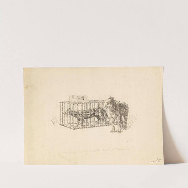 Scenes of Sarah Bernhardt's life 7 by Nevil