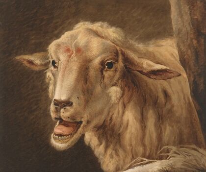 Schaapskop, after Andries Vermeulen