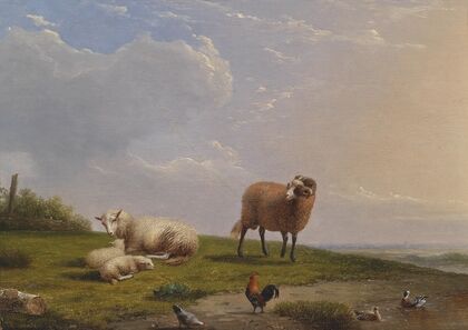 Schafe in Landschaft