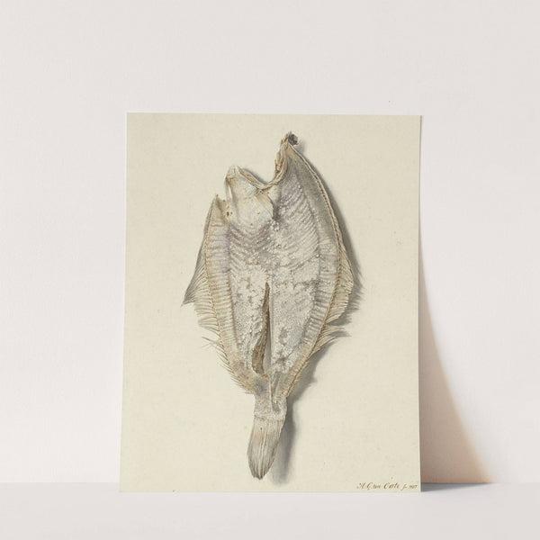 Scharretje by Hendrik Gerrit ten Cate