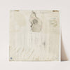 Schedel by Theo van Hoytema