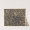 Schedel tussen bloemen in een veld (1911 - 1942) by Arend Hendriks