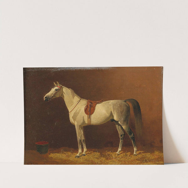 Schimmel Im Stall by Emil Volkers