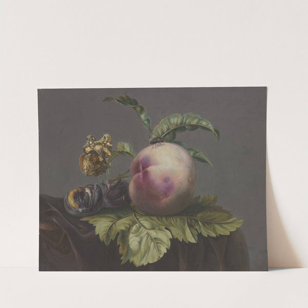 Schmetterling und Fliege bei einem Pfirsich by Jacoba Maria van Nickelen