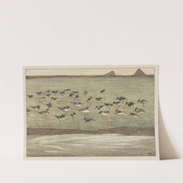 Scholeksters aan de waterkant by Theo van Hoytema
