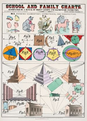 School and family charts