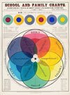 School and family charts, accompanied by a manual of object lessons and elementary instruction