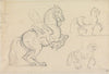 Schooling Horses; Three Studies on a Page