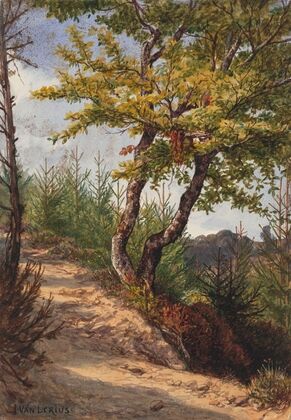 Schwalbach Nassau (1868)