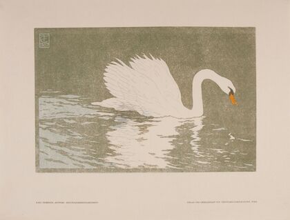 Schwan (1907)