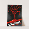 Scillitrine (1910-1950)