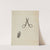 Scissors by Wellington Blewett