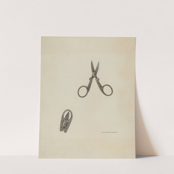 Scissors by Wellington Blewett