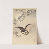 Scops Owl, Cherry Blossoms, and Moon by Ohara Koson